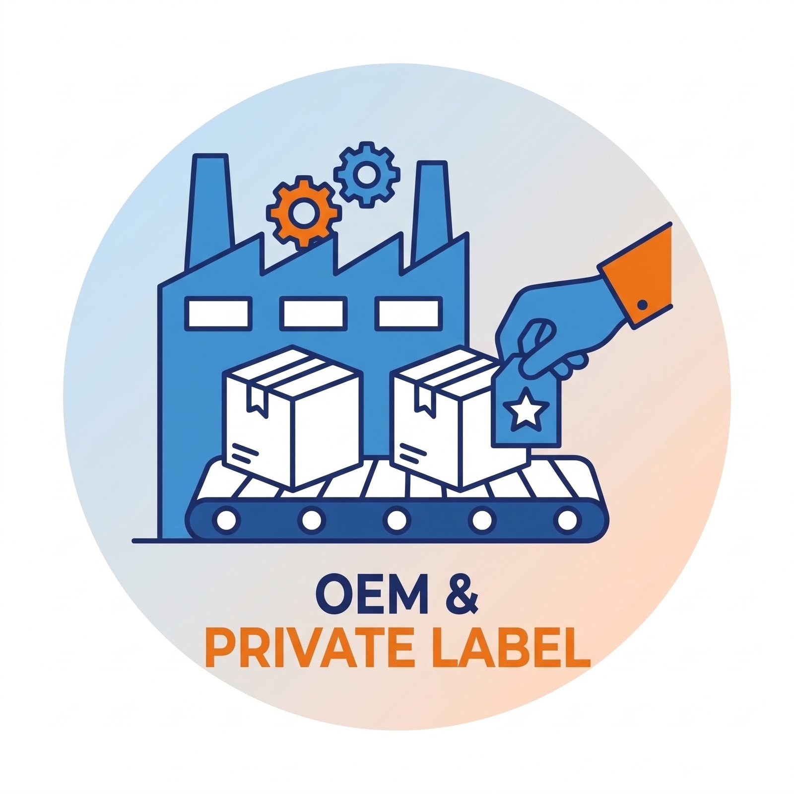 oem icon
